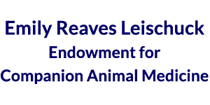 Emily Reaves Leischuck Endowment for Companion Animal Medicine